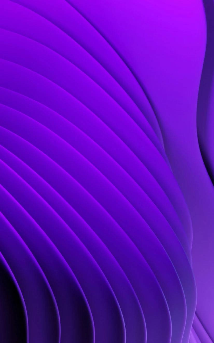 NEXperts Consulting Einblick 2